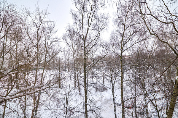 Продам многокомнатную квартиру, Шверника ул, 9к4, Москва г