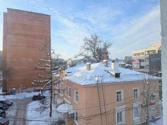 Продам многокомнатную квартиру, Белинского ул, 85, Нижний Новгород г