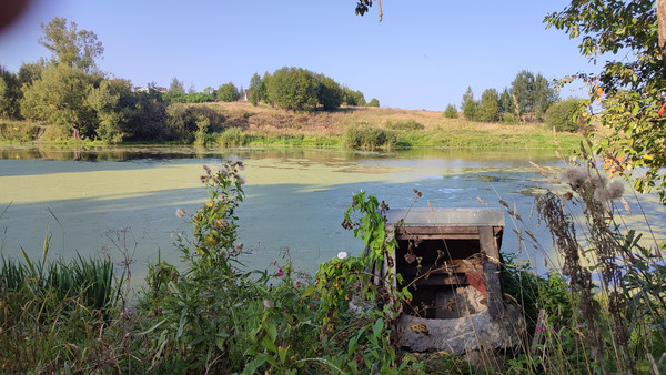 Продам участок 9 соток, ИЖС, Тютчева ул, 67, Софрино рп, 0 км от города