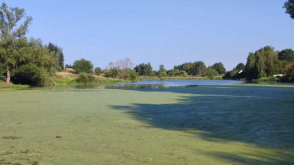 Продам участок 9 соток, ИЖС, Тютчева ул, 67, Софрино рп, 0 км от города