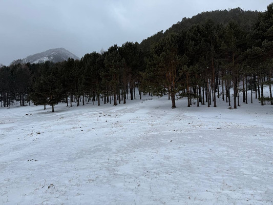 Продам землю для коммерческого использования 33 соток, ИЖС, Большое Голоустное п