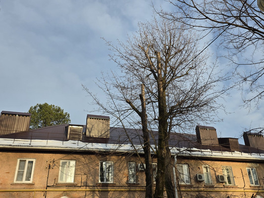 Продам трехкомнатную (3-комн.) квартиру, 1-й Онежский проезд, 3, Краснодар г