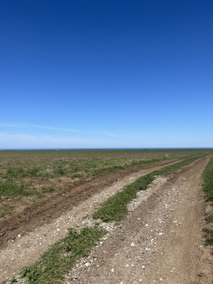 Продам участок 7,19 соток, Фермерское хоз., Далекое с, 0 км от города