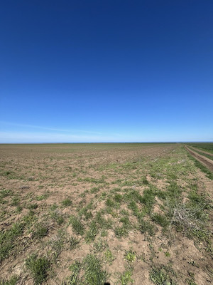 Продам участок 7,19 соток, Фермерское хоз., Далекое с, 0 км от города