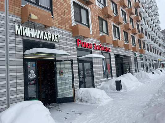 Продам торговое помещение 95,2 м2, Архангельская ул, 2, Ильинское-Усово п