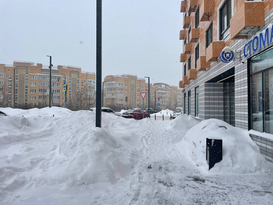 Продам торговое помещение 95,2 м2, Архангельская ул, 2, Ильинское-Усово п