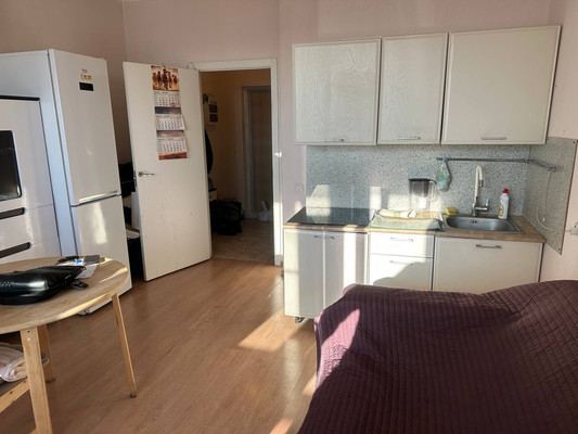 Продам однокомнатную (1-комн.) квартиру, Пригородное (Пригород Лесное мкр.) ш, 10, Мисайлово д