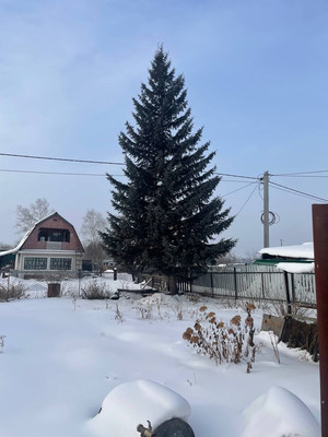 Продам дачу, N2 гск, Шелехов г, 0 км от города