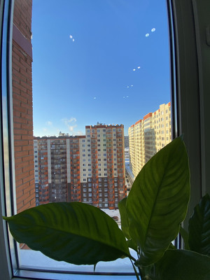 Продам двухкомнатную (2-комн.) квартиру, Шоссе в Лаврики ул, 76, Мурино п