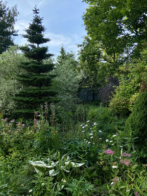 Продам дачу, Вега тер. СНТ, Раменское г, 0 км от города