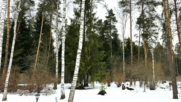 Продам дом, Подлесная ул, 1кВ, Вялки д, 0 км от города