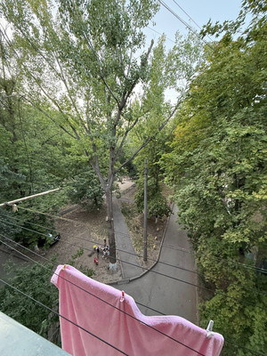 Продам трехкомнатную (3-комн.) квартиру, Коммунистический пр-кт, 38/2, Ростов-на-Дону г