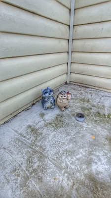 Продам дом, Зелёная (Восток снт) ул, 400, Ленина х, 0 км от города