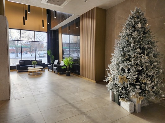 Сдам однокомнатную (1-комн.) квартиру, Уральская ул, 25 1, Санкт-Петербург г