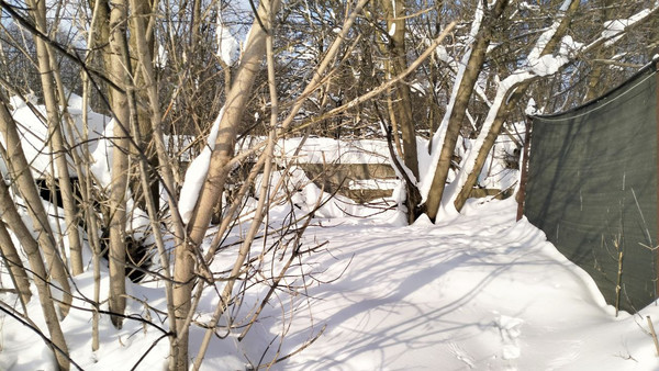 Продам землю для коммерческого использования 42,33 соток, Сосновый Бор ул, Раменское г