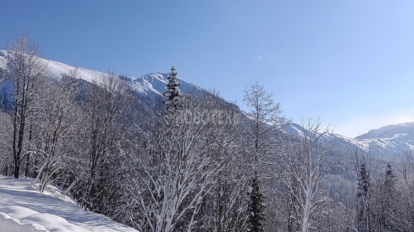 Продам участок 40 соток, ИЖС, Железнодорожная ул, Тубы с, 0 км от города