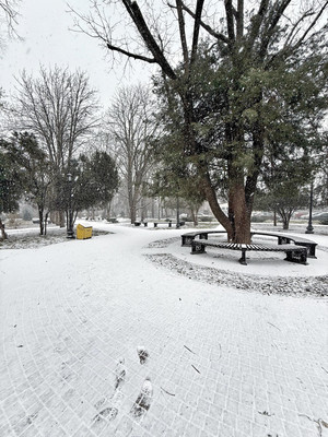 Продам однокомнатную (1-комн.) квартиру, Ростовская ул, 10, Краснодар г