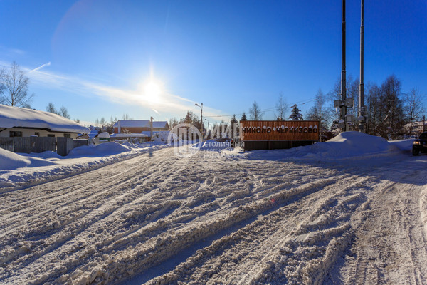 Продам таунхаус, 20, Николо-Черкизово д, 0 км от города