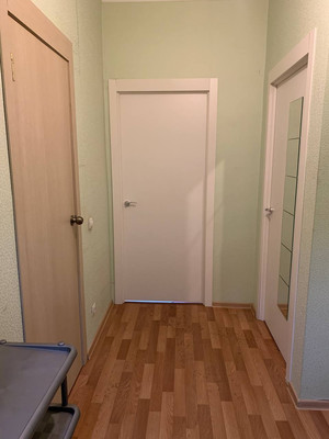 Сдам однокомнатную (1-комн.) квартиру, Пражская ул, 9, Кудрово г