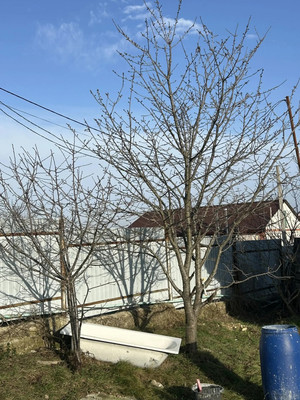 Продам дом, Крайний пер, Новороссийск г, 0 км от города