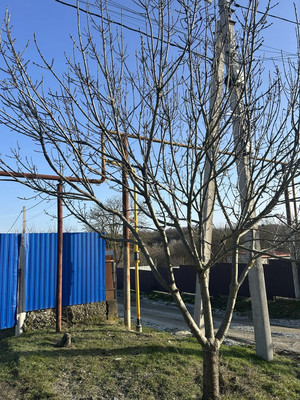 Продам дом, Крайний пер, Новороссийск г, 0 км от города