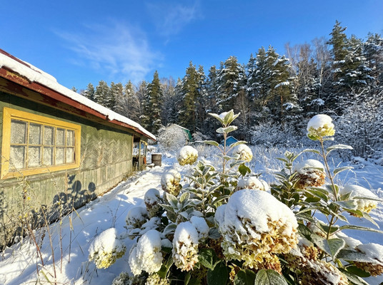 Продам дачу, Юбилейная ул, Истра г, 0 км от города