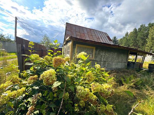 Продам дачу, Юбилейная ул, Истра г, 0 км от города