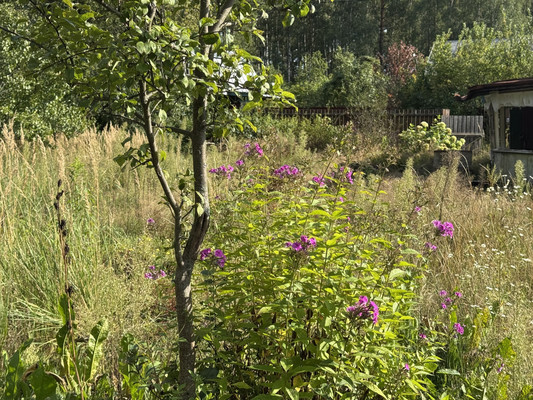 Продам дачу, Юбилейная ул, Истра г, 0 км от города