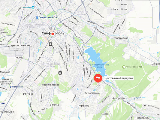 Продам дом, Центральная (Салгир тер. СНТ) ул, 50, Лозовое с, 0 км от города