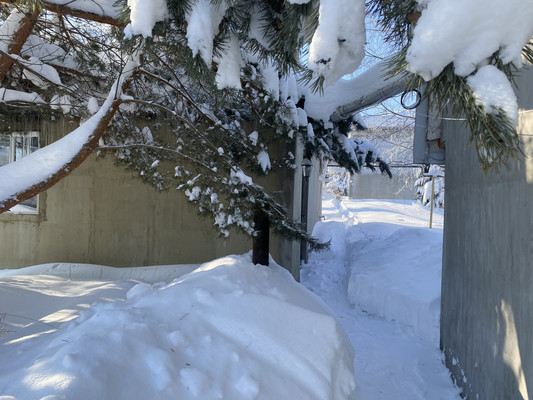 Продам дом, Совхозная ул, 31А, Муравьиха с, 0 км от города