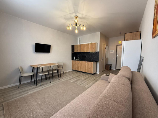 Продам однокомнатную (1-комн.) квартиру, Толстого ул, 81, Супсех с