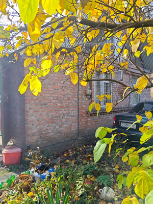 Продам участок 6,2 соток, Фермерское хоз., 2-я Ладная ул, 12, Ростов-на-Дону г, 0 км от города