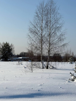 Продам участок 9,87 соток, ИЖС, Широково с, 0 км от города