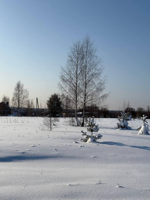 Продам участок 9,87 соток, ИЖС, Широково с, 0 км от города