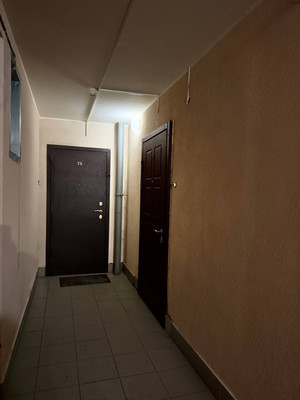 Продам однокомнатную (1-комн.) квартиру, Богатырский пр-кт, 39к2, Санкт-Петербург г