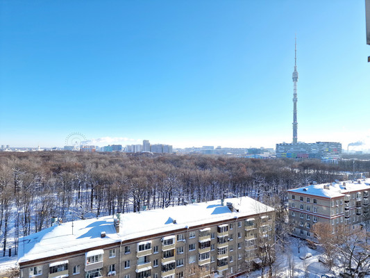 Сдам однокомнатную (1-комн.) квартиру, Ботаническая ул, 19к1, Москва г