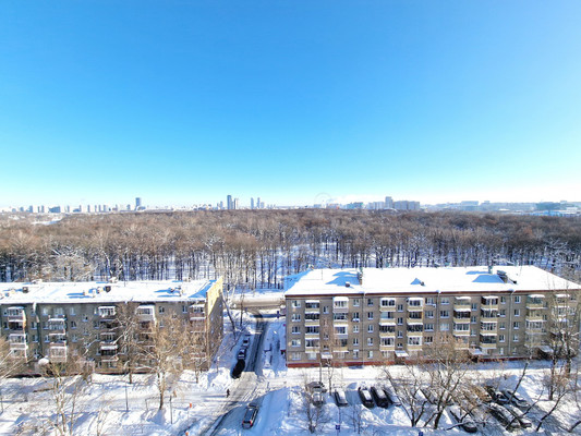 Сдам однокомнатную (1-комн.) квартиру, Ботаническая ул, 19к1, Москва г