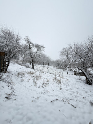 Продам дом, Алтайская ул, 13, Вольный Аул кп, 0 км от города