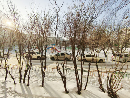 Продам однокомнатную (1-комн.) квартиру, Петрушина ул, 1, Красноярск г