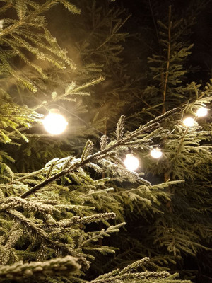 Продам дом, квартал Дмитровский тер, 0 км от города