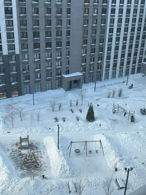 Продам однокомнатную (1-комн.) квартиру, Цимлянская ул, 3к2, Москва г