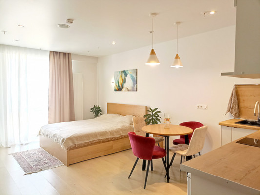 Продам однокомнатную (1-комн.) квартиру, Социалистическая ул, 21, Санкт-Петербург г