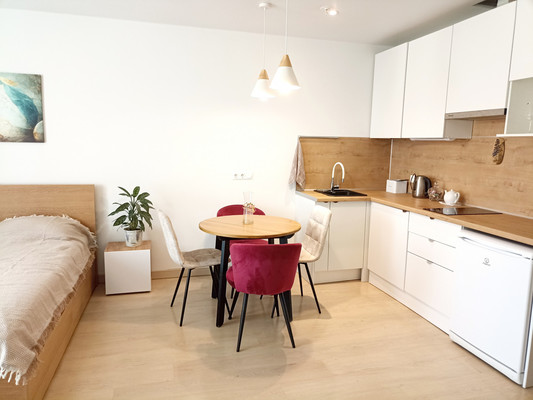 Продам однокомнатную (1-комн.) квартиру, Социалистическая ул, 21, Санкт-Петербург г