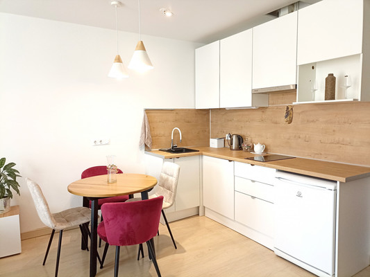 Продам однокомнатную (1-комн.) квартиру, Социалистическая ул, 21, Санкт-Петербург г