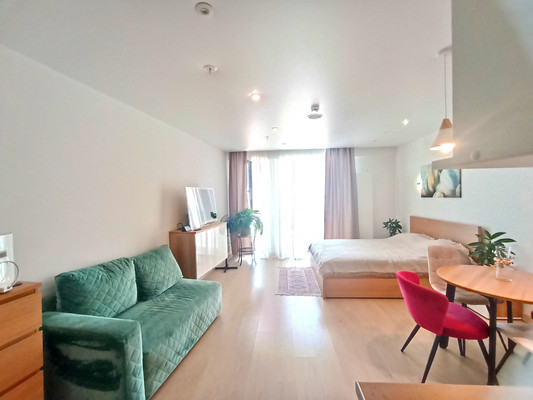 Продам однокомнатную (1-комн.) квартиру, Социалистическая ул, 21, Санкт-Петербург г