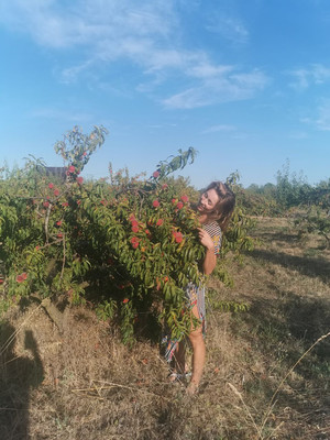 Продам участок 5,5 соток, ИЖС, Сочинская ул, Кучугуры п, 0 км от города