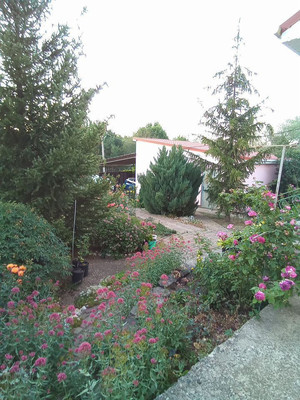 Продам дом, Центральная ул, Клиновка с, 0 км от города