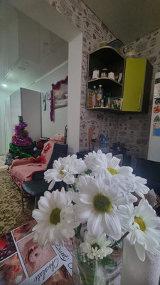 Продам однокомнатную (1-комн.) квартиру, Парижская ул, 5к3, Российский п