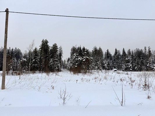 Продам участок 10 соток, Фермерское хоз., 76 км, Дмитров г, 0 км от города