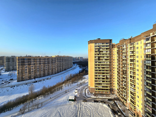 Сдам двухкомнатную (2-комн.) квартиру, Арсенальная ул, 7, Новое Девяткино д